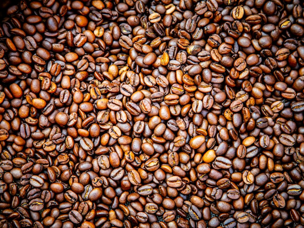 Cerrado biologische single origin koffiebonen uit Brazilië
