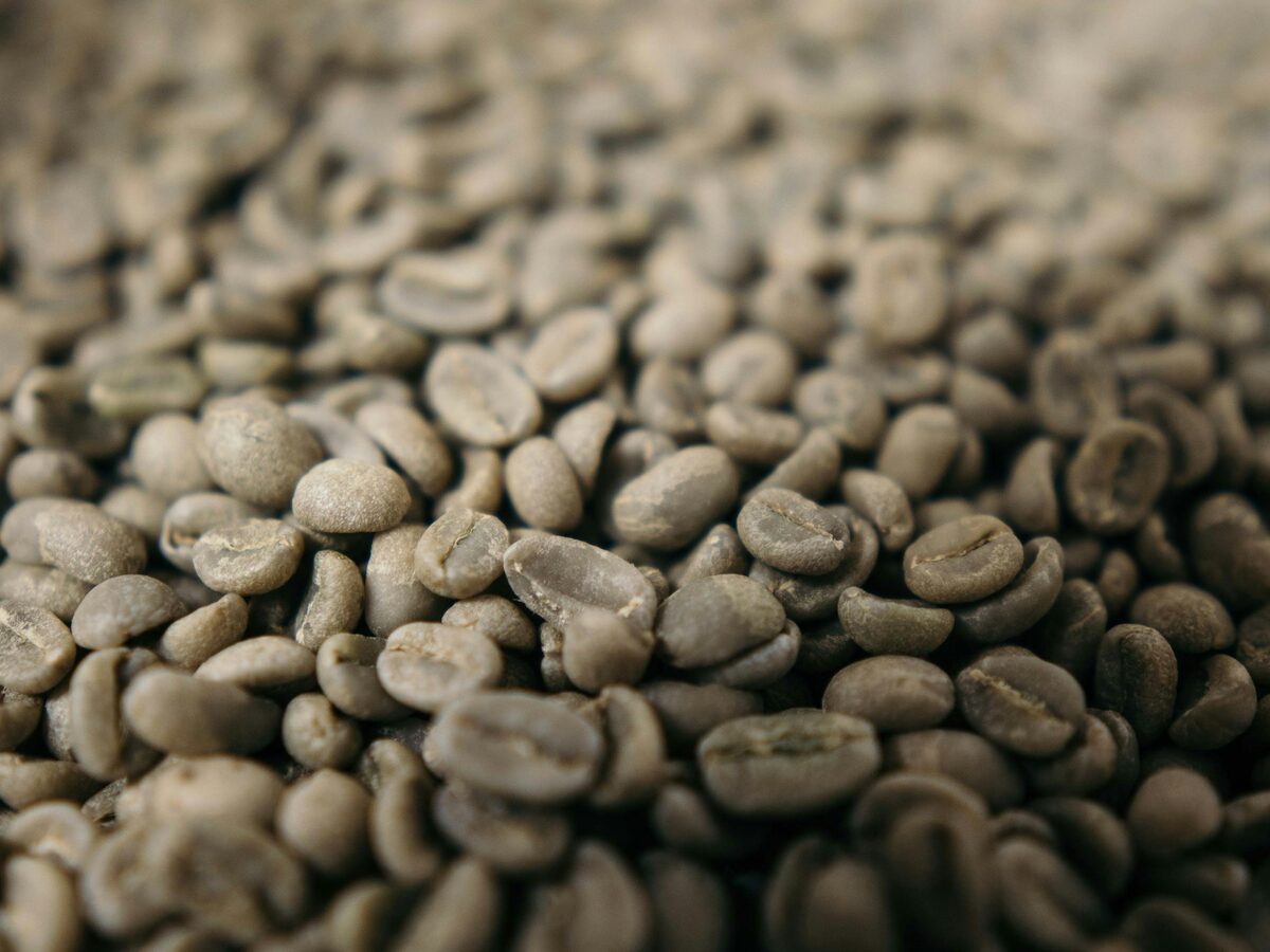 Huila biologische single origin koffiebonen uit Colombia