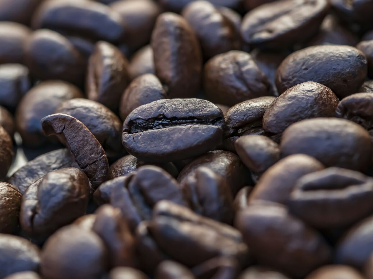 Nyeri AA biologische single origin koffiebonen uit Kenia