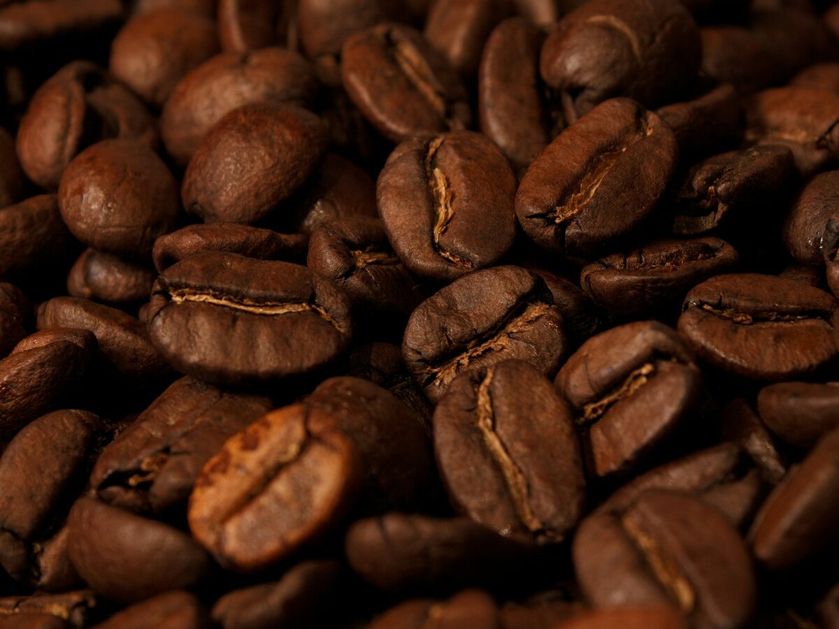 Yirgacheffe biologische single origin koffiebonen uit Ethiopië